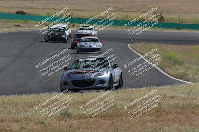 media/May-04-2024-Lucky Dog Racing (Sat) [[d39539b3f3]]/Race Pics/1015am (Turn 2)/